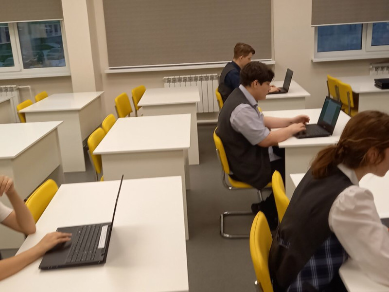 всероссийская олимпиада школьников по информатике на платформе «Сириус».